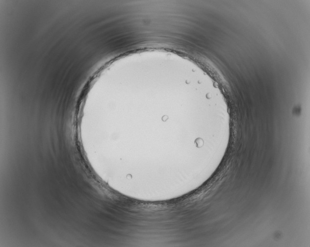 X0000116671076201001251234