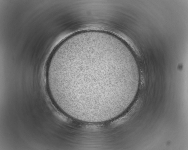 X0000116671078201001251234