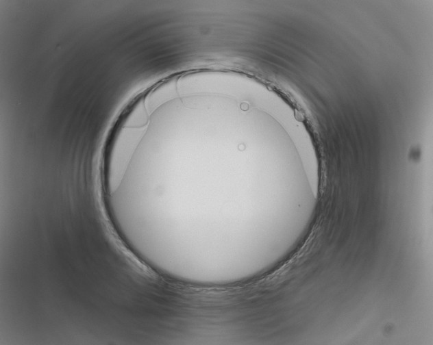 X0000116671080201001251234