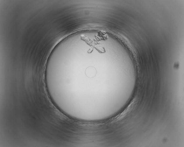 X0000116671081201001251234