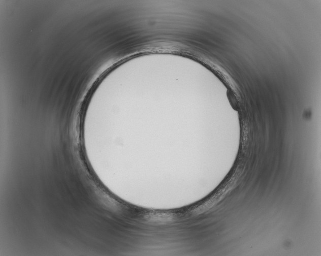 X0000116671083201001251234