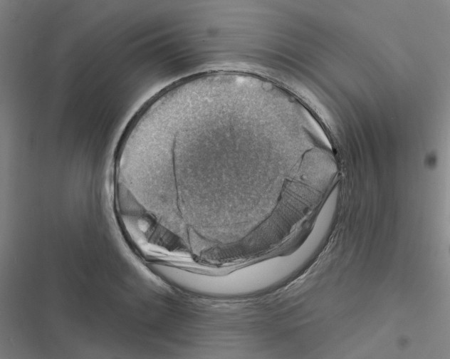 X0000116671084201001251234