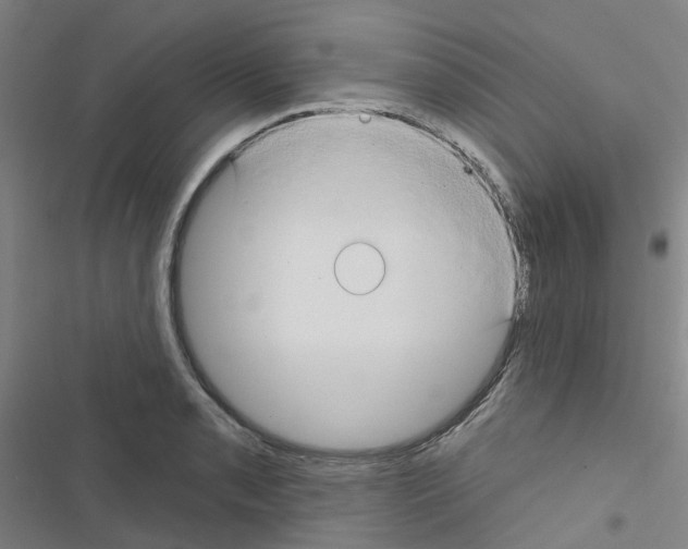 X0000116671085201001251234