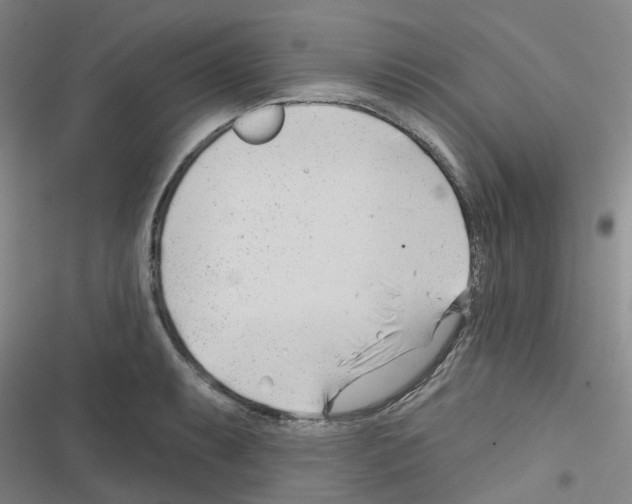 X0000116671087201001251234
