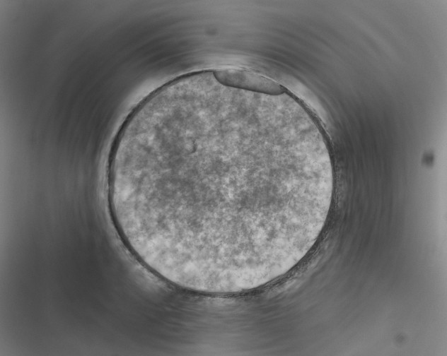 X0000116671088201001251234