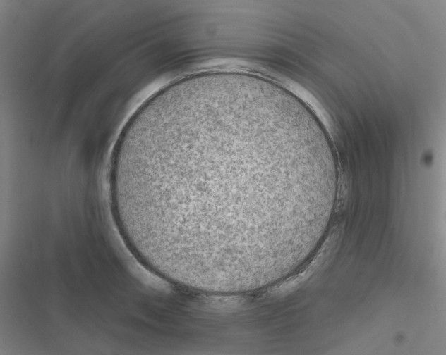 X0000116671090201001251234