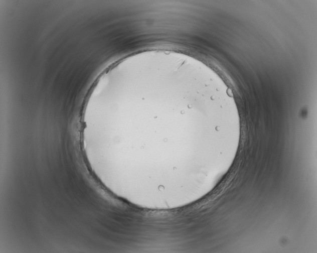 X0000116671092201001251234