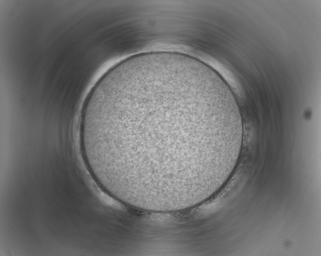 X0000116671094201001251234