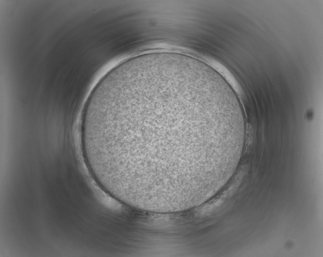 X0000116671098201001251234