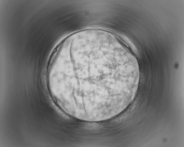 X0000116671100201001251233
