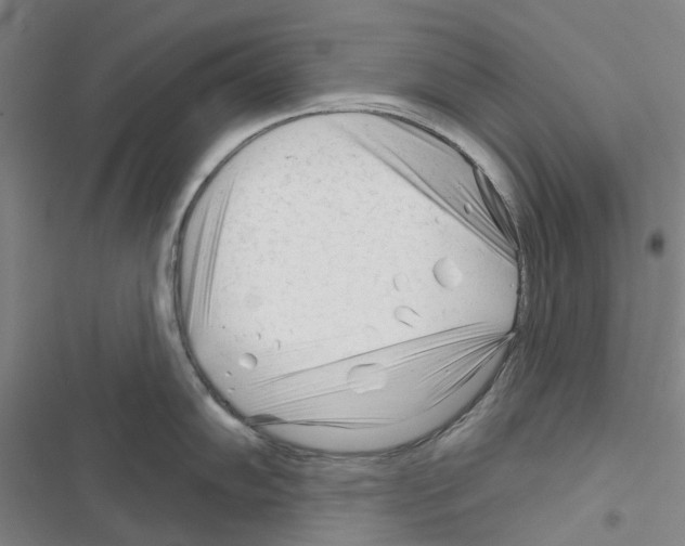 X0000116671102201001251233