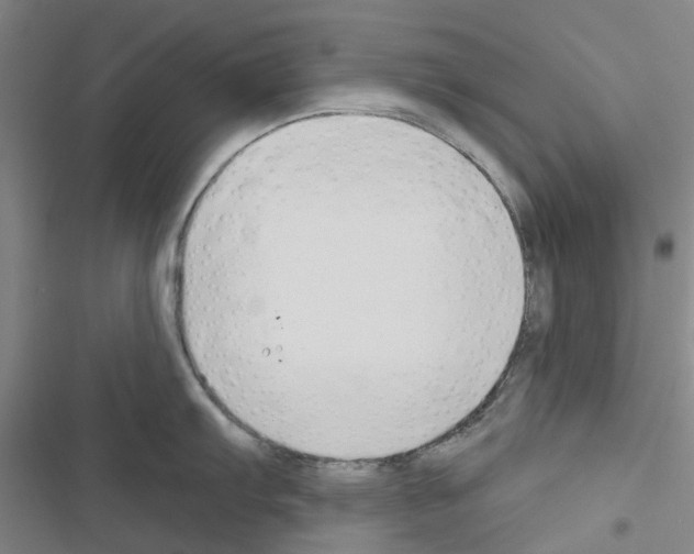X0000116671103201001251233