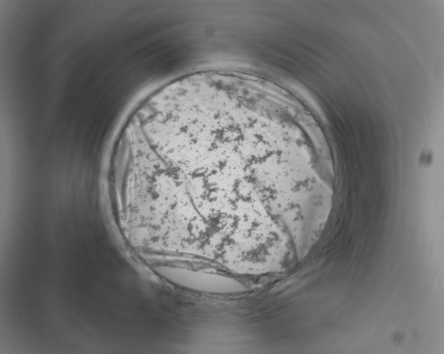 X0000116671104201001251233