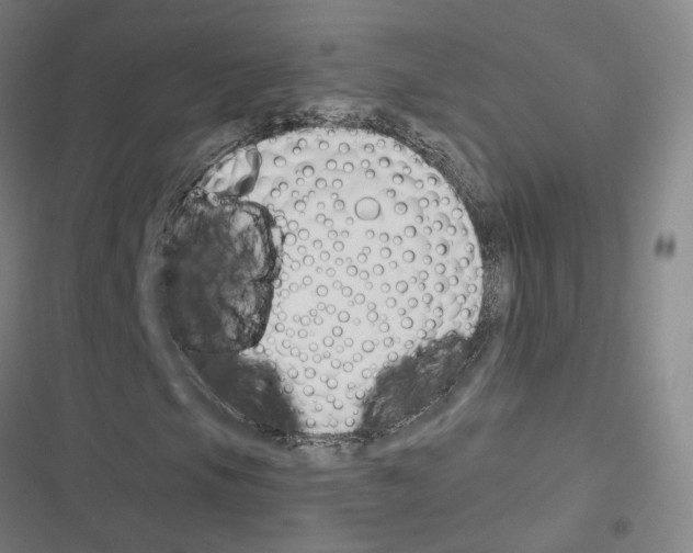 X0000116671105201001251233
