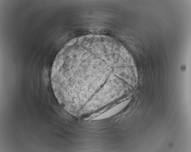 X0000116671106201001251233