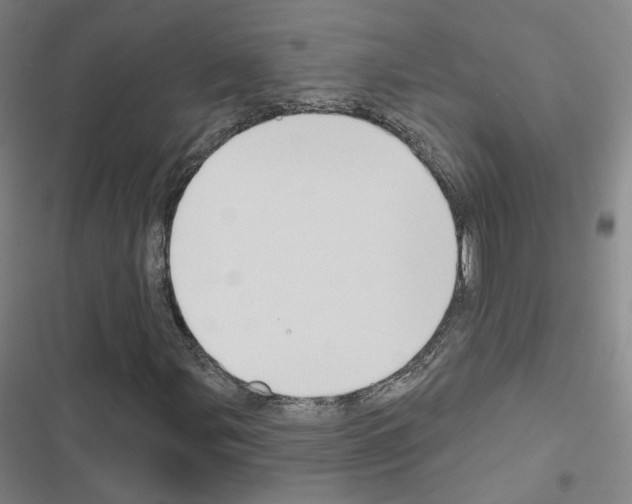 X0000116671107201001251233