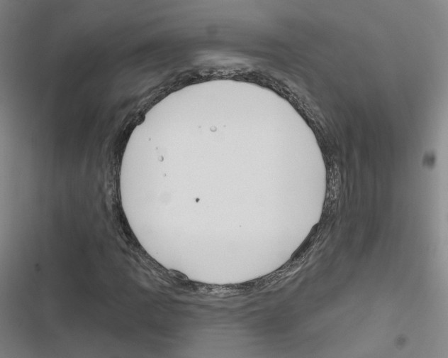 X0000116671109201001251233
