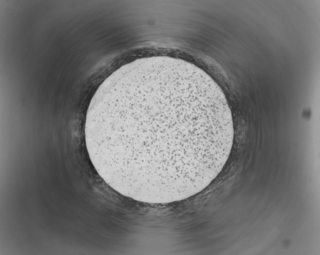 X0000116671110201001251233