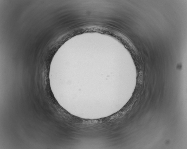 X0000116671111201001251233