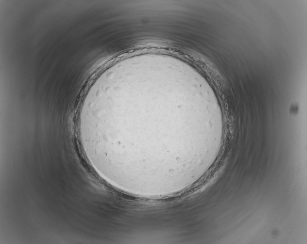 X0000116671113201001251233
