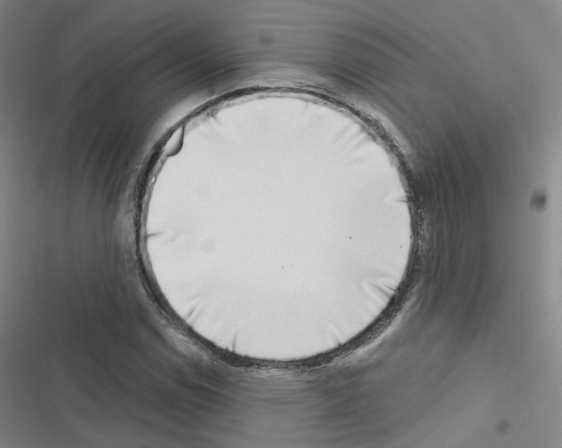 X0000116671114201001251233