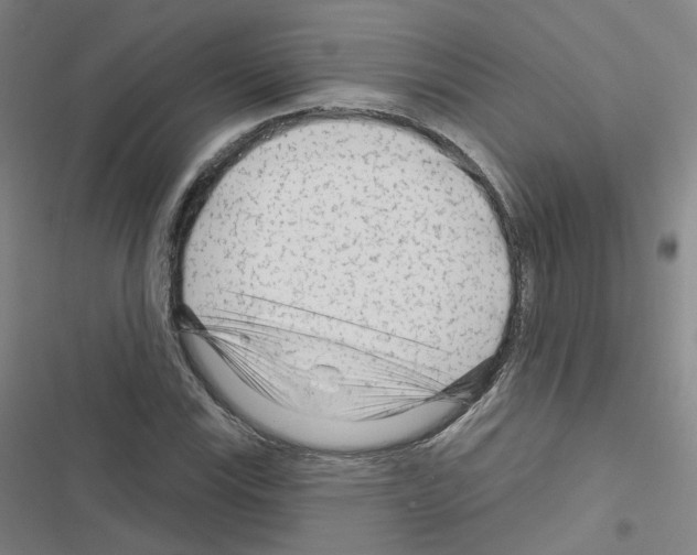 X0000116671115201001251233
