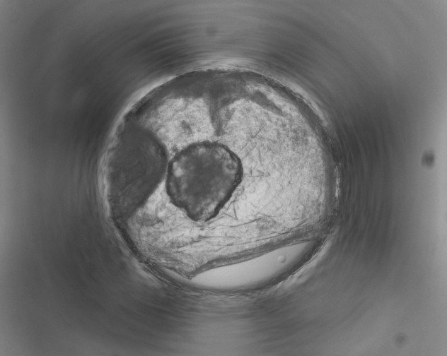 X0000116671117201001251233