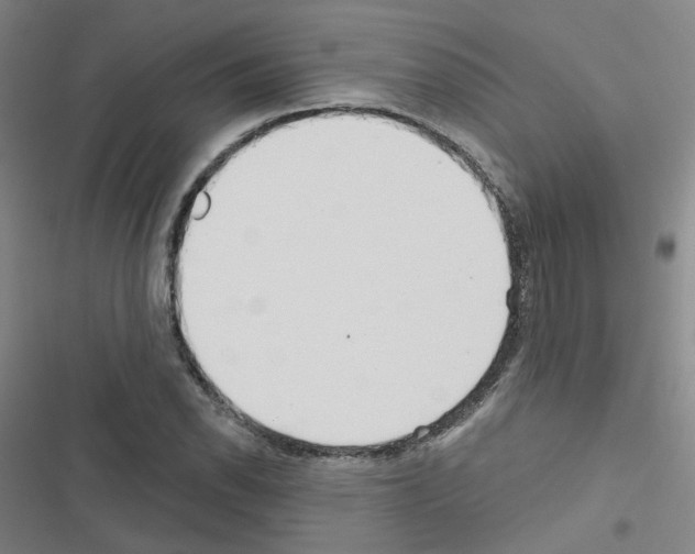 X0000116671118201001251233