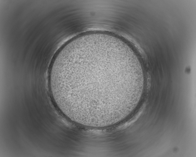 X0000116671121201001251233