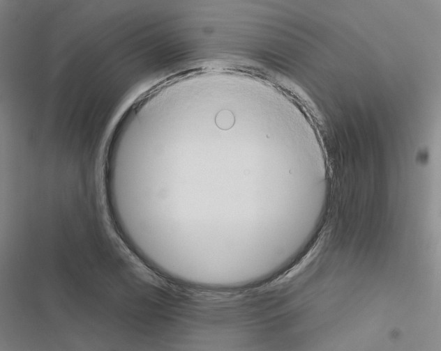 X0000116671122201001251233