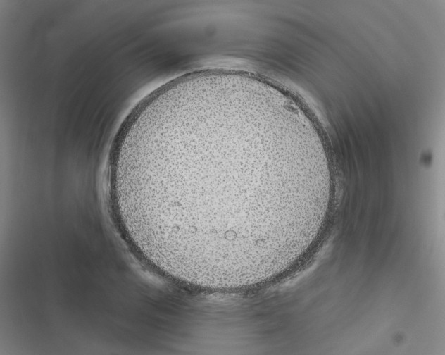 X0000116671125201001251233