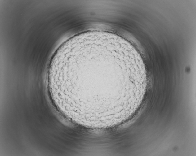 X0000116671130201001251233