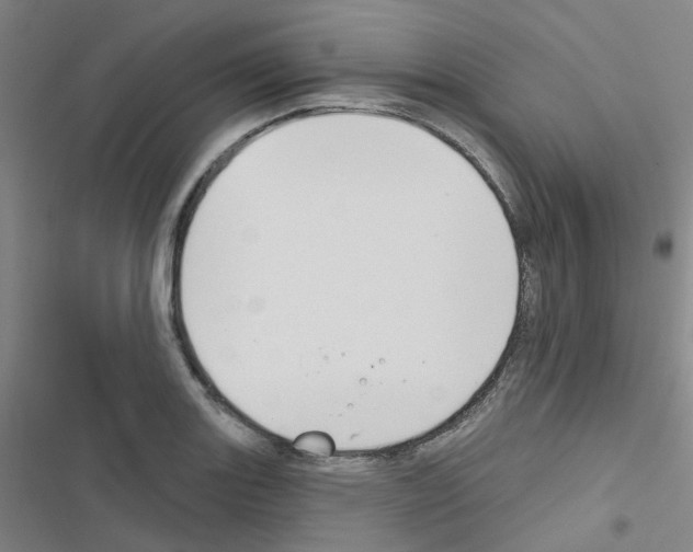 X0000116671131201001251233