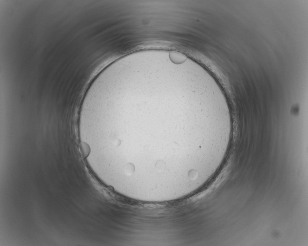 X0000116671137201001251233