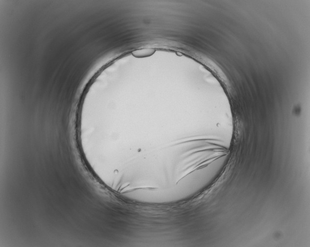 X0000116671138201001251233