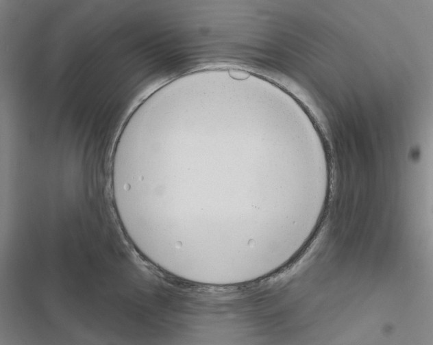 X0000116671145201001251233