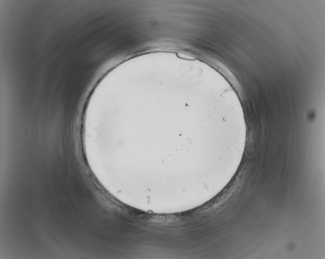 X0000116671146201001251233