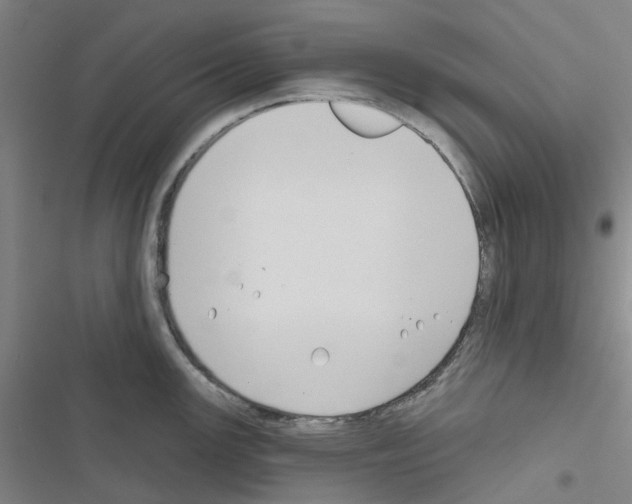 X0000116671147201001251233