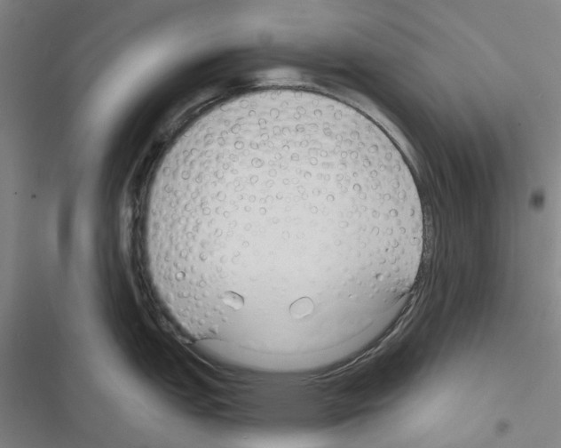 X0000116671151201001251233