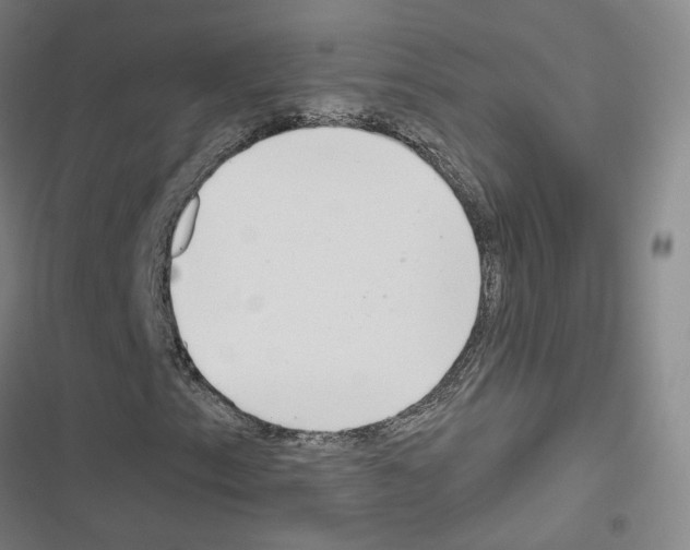X0000116671153201001251233