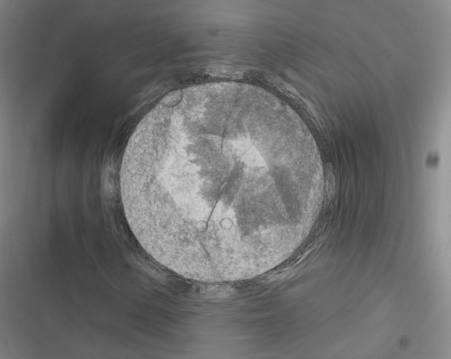 X0000116671154201001251233