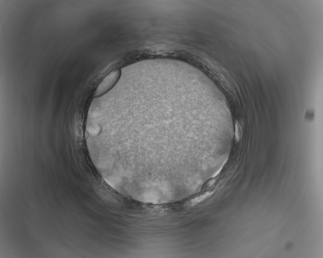 X0000116671155201001251233