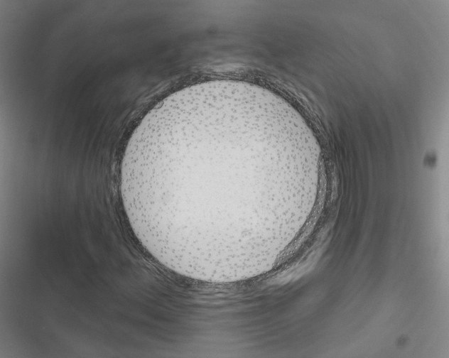 X0000116671156201001251233