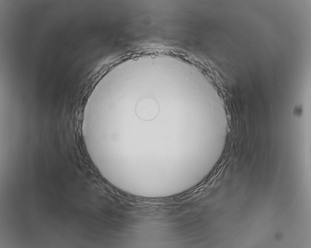 X0000116671157201001251233