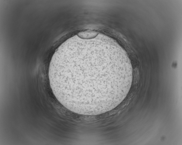 X0000116671158201001251233