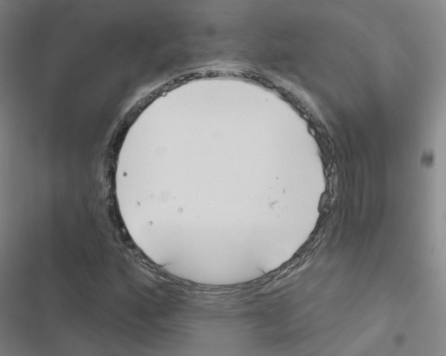 X0000116671160201001251233
