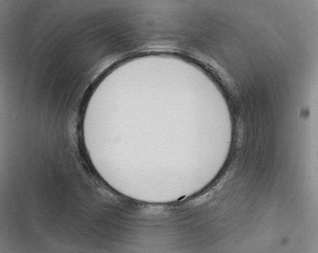 X0000116671162201001251233