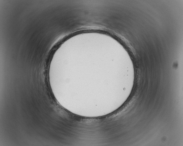 X0000116671163201001251233