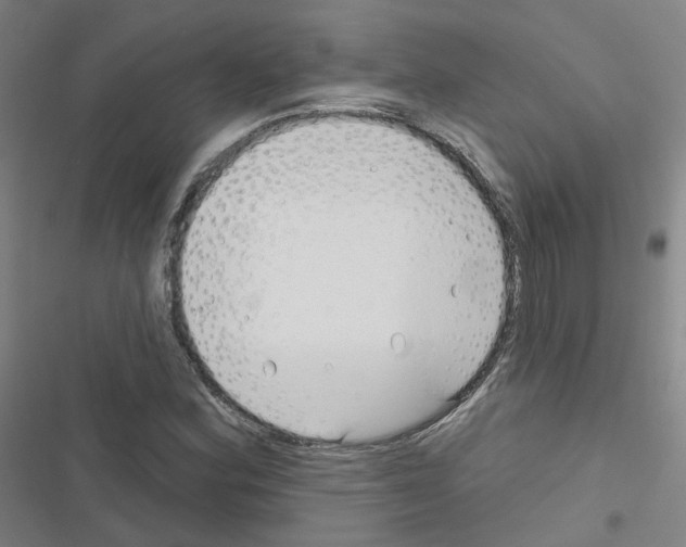 X0000116671164201001251233