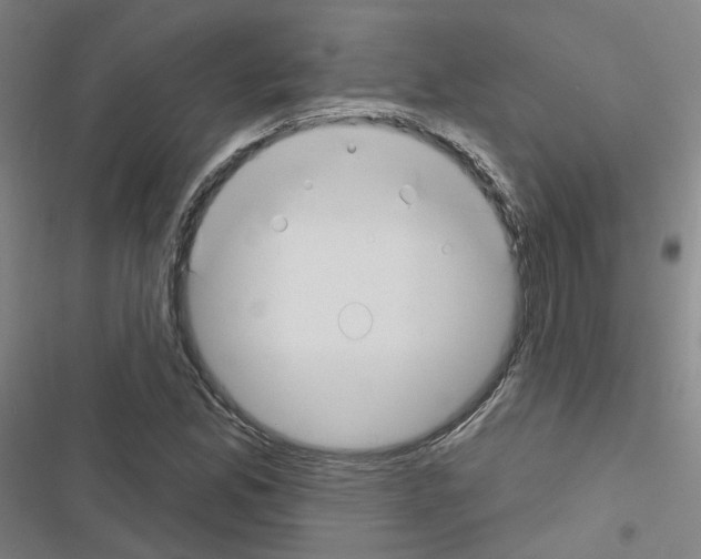 X0000116671165201001251233